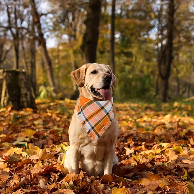 ADOGGYGO Fall Dog Bandanas