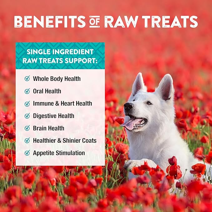 Northwest Naturals Raw Rewards Freeze-Dried Chicken Breast Treats for Dogs and Cats - Bite-Sized Pieces - Healthy, 1 Ingredient, Human Grade Pet Food, All Natural - 10 Oz (Packaging May Vary)