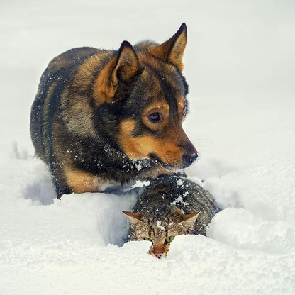 PETMAKER Self-Heating Pet Bed