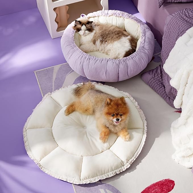 Lesure Cat Beds for Indoor Cats 21x21x7 Inches