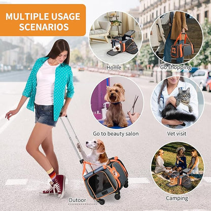 LOOBANI Pet Carrier with Wheels, Large Pet Carrier Not Airline Approved for Small & Medium Dogs Puppy Up to 25 LBS Dog Carrier, Cat Carrier Go Out Convenient and Easy Travel Vet Visit (20"x13"x13")