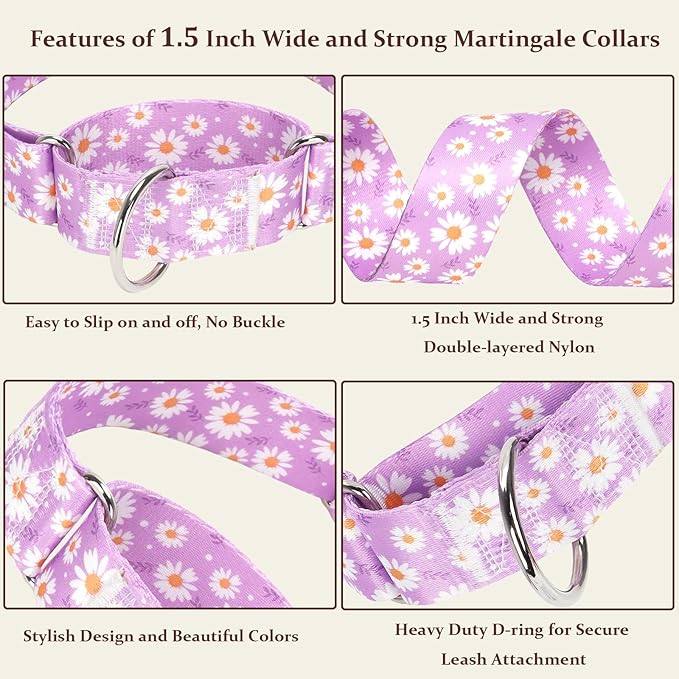Martingale Collar 1.5 Inches Wide Girl Dog Collar
