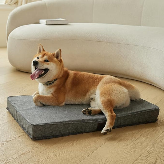 DaysU Dog Bed for Medium Dogs 35 Ibs, 35x22x3in