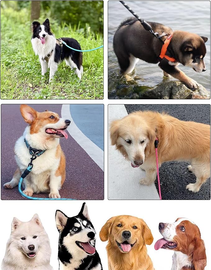 PETANK Slip Leads for Dogs 5 FT with Soft Padded Handle 5FT*1/2")