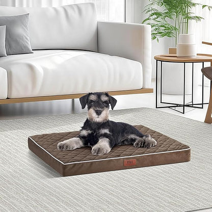 Orthopedic Dog Beds for Small Dogs with Removable Washable Cover 22 inch,