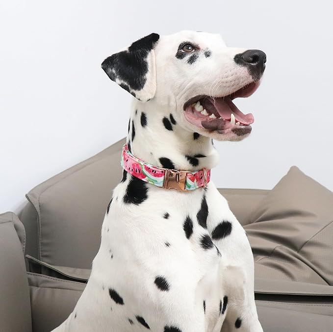 Unique style paws Dog Collar Metal Buckle Collar