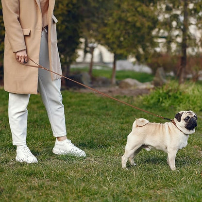 Waterproof Dog Leash Carabiner Leash for Dogs Soft 5ft*15mm*2.0mm Brown