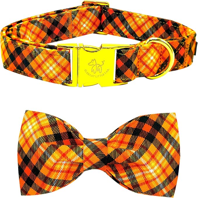 Elegant little tail Fall Dog Collar