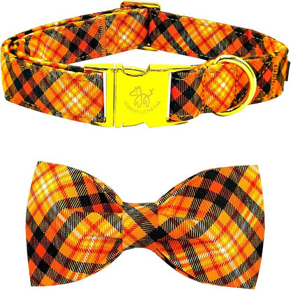 Elegant little tail Fall Dog Collar