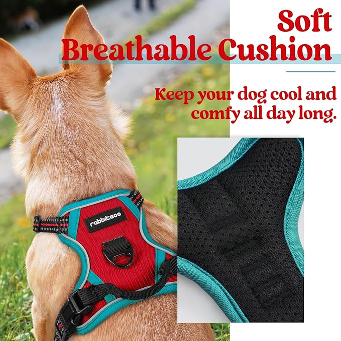 rabbitgoo Dog Harness, No-Pull Pet Harness with 2 Leash Clips, Adjustable Soft Padded Dog Vest, Reflective No-Choke Pet Oxford Vest with Easy Control Handle for Large Dogs, Red & Teal, X-Small