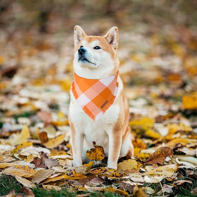 ADOGGYGO Fall Dog Bandanas