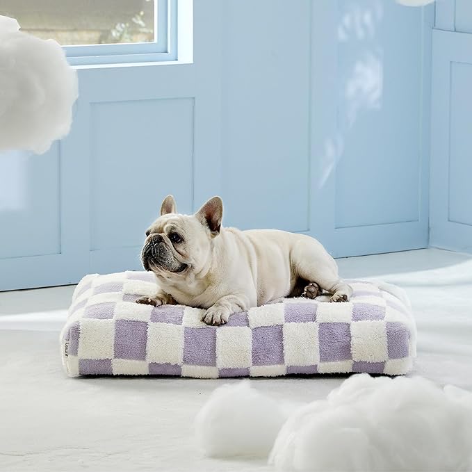 Lesure Dog Bed Medium Size Dog-Thick Shredded Chopped Foam Pet Bed Bottom(30'x20', Purple)