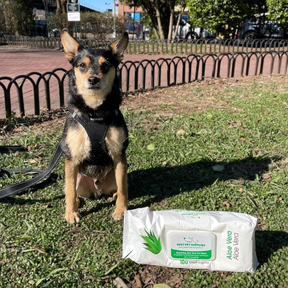 Best Pet Supplies Dog Wipes 400 Pack,