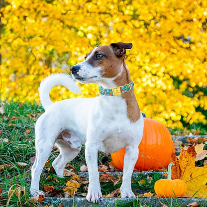 Lionheart glory Premium Fall Dog Collars Mushroom Print