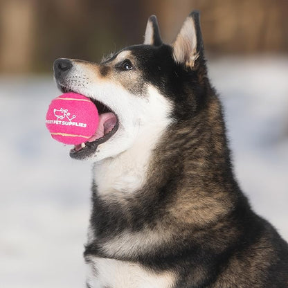 Best Pet Supplies Squeaky Tennis Toys for Dogs 8-Pack, Heavy-Duty