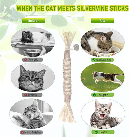 5 Pack Silvervine Cat Toy, Silvervine Sticks Cat Toys for Indoor Cats, Cat & Kitten Chew Toys for Aggressive Chewers, Cat Dental Toy for Kitten Teeth Cleaning, Matatabi Silvervine for Cats