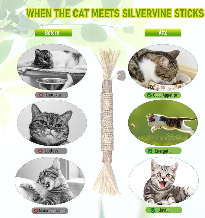 1 Pack Silvervine Cat Toy, Silvervine Sticks Cat Toys for Indoor Cats, Cat & Kitten Chew Toys for Aggressive Chewers, Cat Dental Toy for Kitten Teeth Cleaning, Matatabi Silvervine for Cats