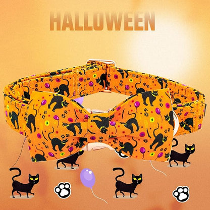 Elegant little tail Fall Dog Collar