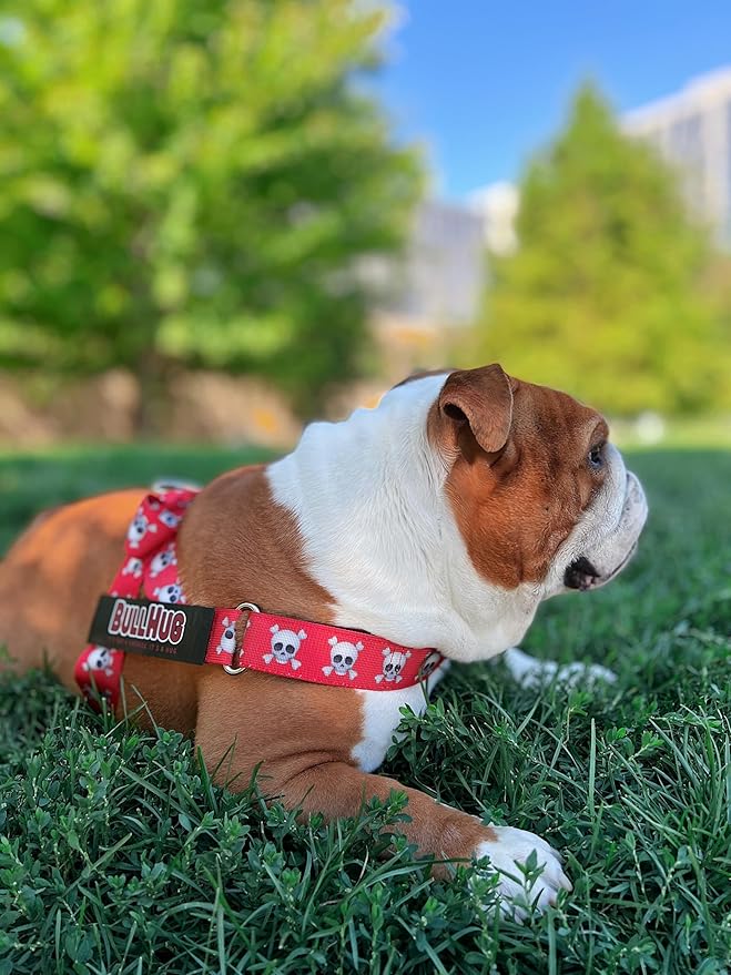 BULLHUG Harness – Made for Larger Chested Dogs Like English Bulldogs