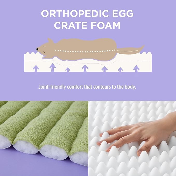 Lesure Orthopedic Dog Bed Sofa for Medium Dogs Foam(28" x 23" x 10", Green)