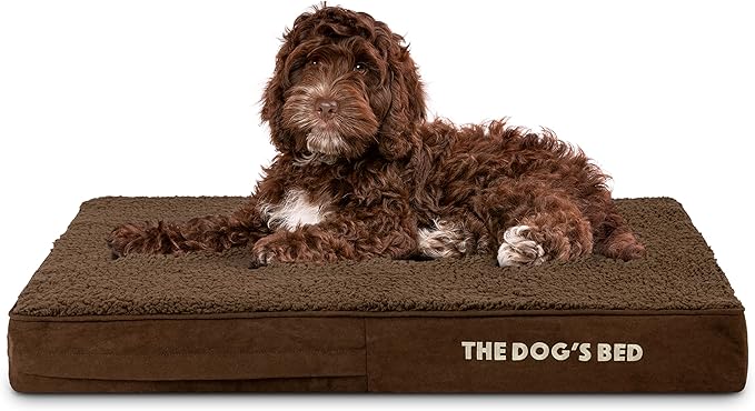 The Dog’s Bed Orthopedic Memory Foam Dog Bed 34x22, Pain