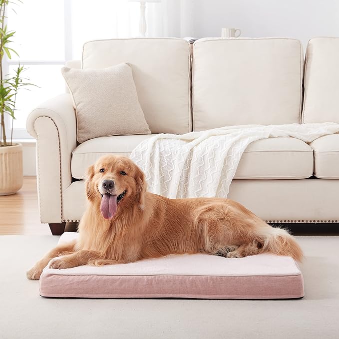 Memory Foam Orthopedic Large Dog Bed