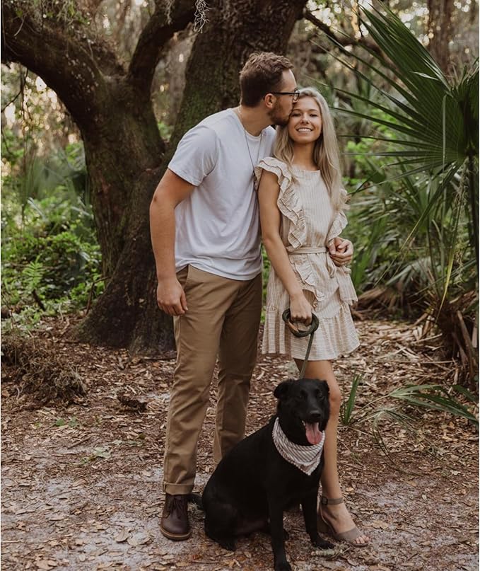 Mile High Life Slip Leads for Dogs 5 Feet