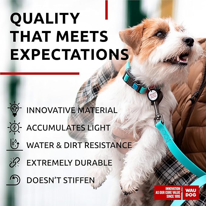 Waterproof Dog Collar (9 3/4" 13 3/4"