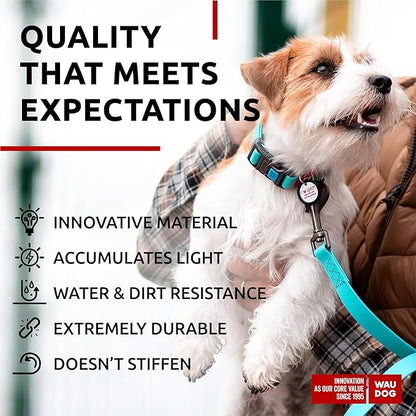 Waterproof Dog Collar (9 3/4" 13 3/4"