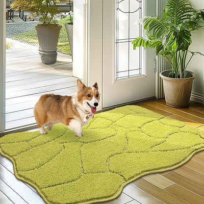 BSICPRO Dog Mat for Muddy Paws 24x36 Inches