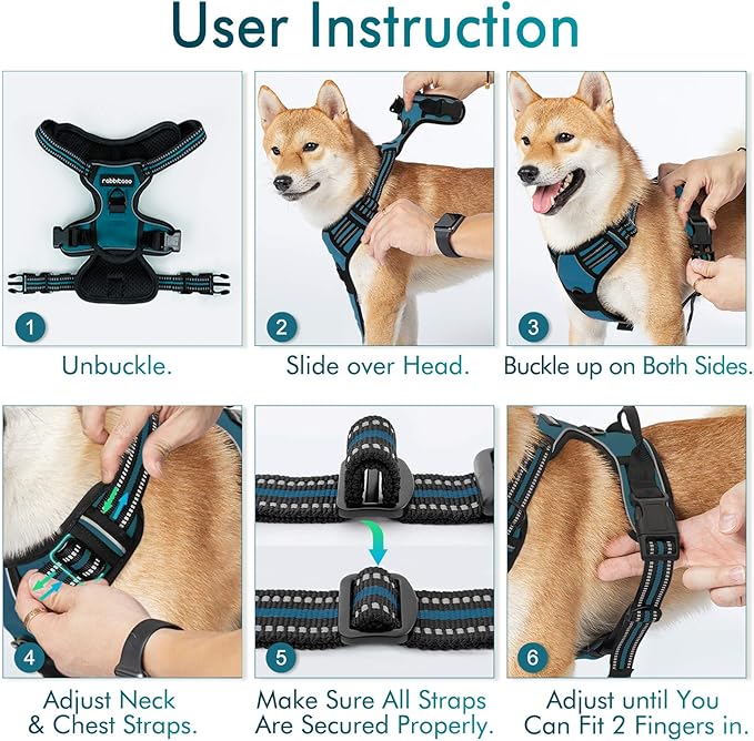 rabbitgoo Dog Harness, No-Pull Pet Harness with 2 Leash Clips, Adjustable Soft Padded Dog Vest, Reflective No-Choke Pet Oxford Vest with Easy Control Handle for Large Dogs, Blue Coral, XL