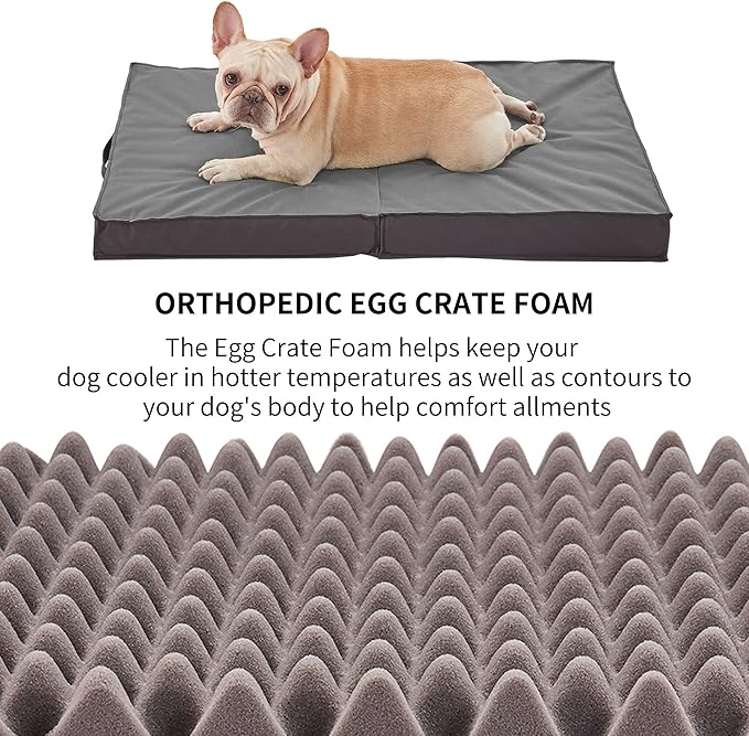 Outdoor Dog Beds for Large Dogs 35inch All