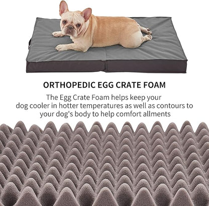 Outdoor Dog Beds for Large Dogs 35inch All