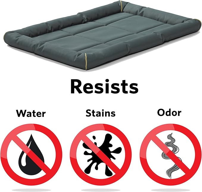 Maxx Dog Bed for Metal Dog Crates 48-Inch, Green