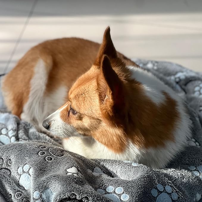 Glow Waterproof Dog Blanket Cats(paw60*50)