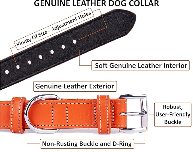 Soft Leather Dog Collar
