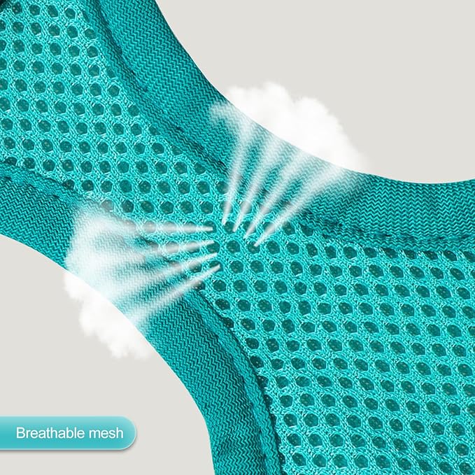 YIMEIS Dog Harness and Leash Set 1)