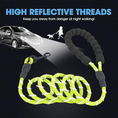 BAAPET 2/4/5/6 FT Dog Leash with Comfortable Padded Handle and Highly Reflective Threads for Small Medium and Large Dogs (5FT-1/3''