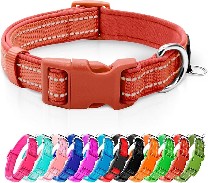 azuza Reflective Dog Collar