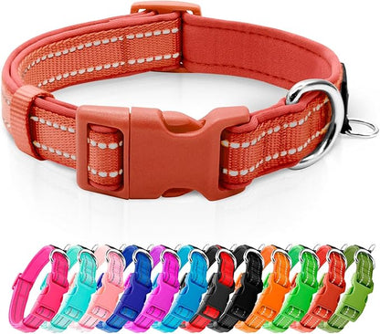 azuza Reflective Dog Collar