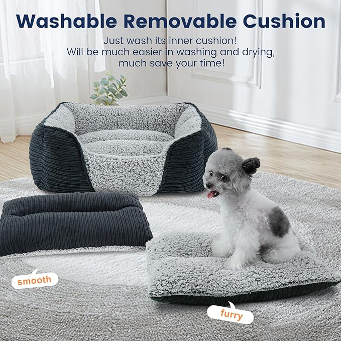 Miguel Washable Dog Bed with Removable Cushion for Small Dogs 20 Inch