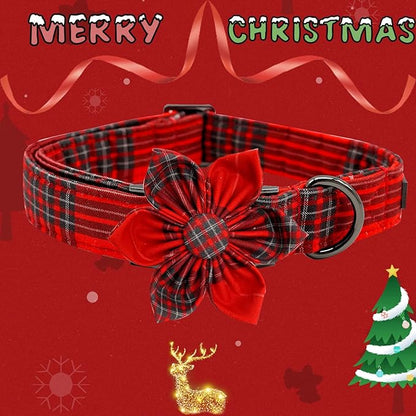 Elegant little tail Dog Collar with Flower