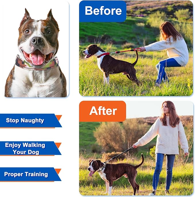 Supet Dog Training Collar for Small Medium Large Dogs with Quick Release Buckle