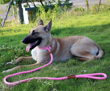 lynxking Dog Leash Slip Lead 5 6 8