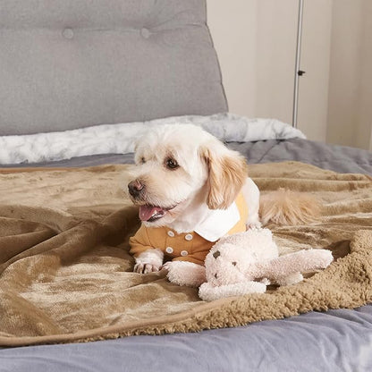 NICETOWN Dog Blankets for Small Medium Dogs Waterproof Cat Blanket Washable 30"X40", Taupe