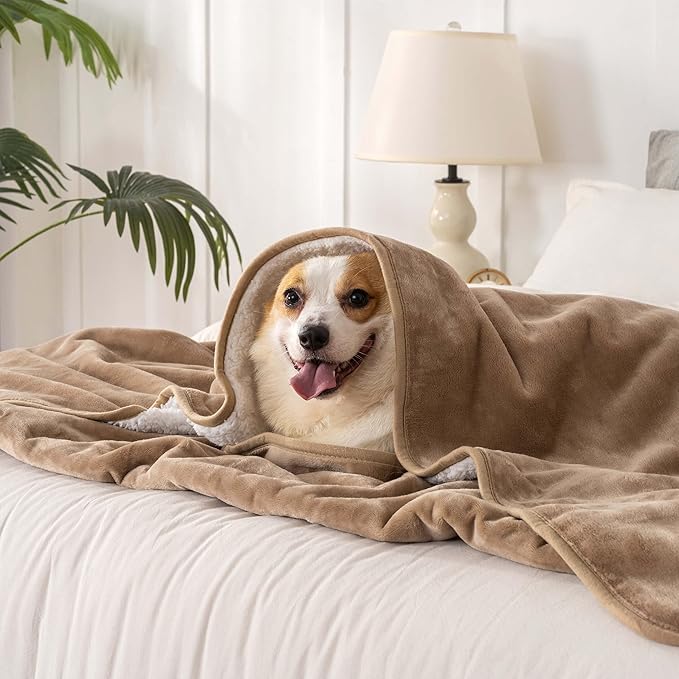 PETHUR Waterproof Dog Blanket for Bed 60"x80", Coffee