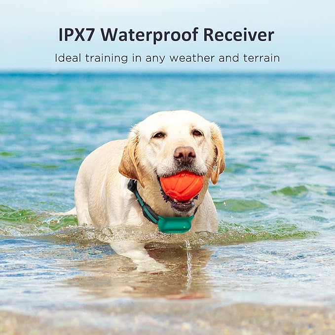 PATPET Dog Training Collar with Remote 3 Adjustable (8-120 lbs)