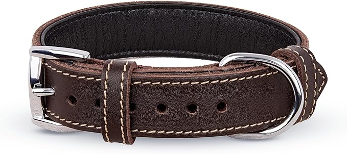 Soft Leather Dog Collar
