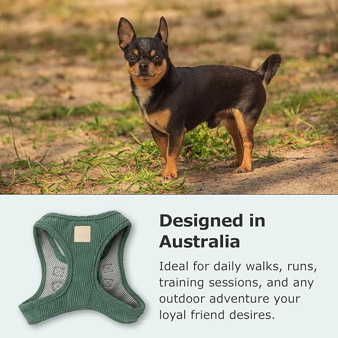 FuzzYard Life Corduroy Step in Dog Harness