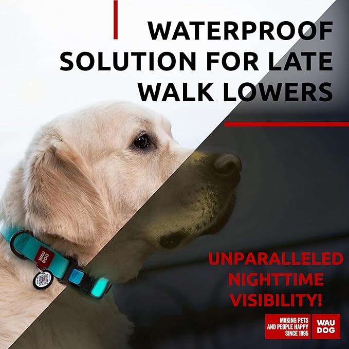 Waterproof Dog Collar (14 1/2" 22" Neck,